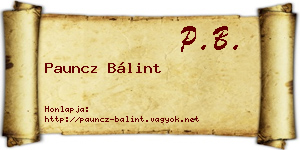 Pauncz Bálint névjegykártya
